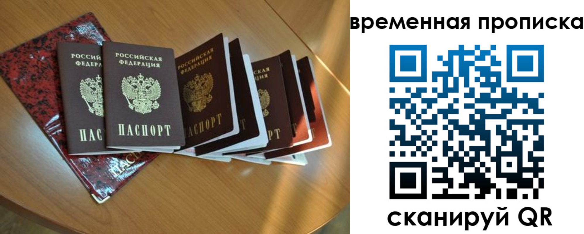 прописка в Курской области