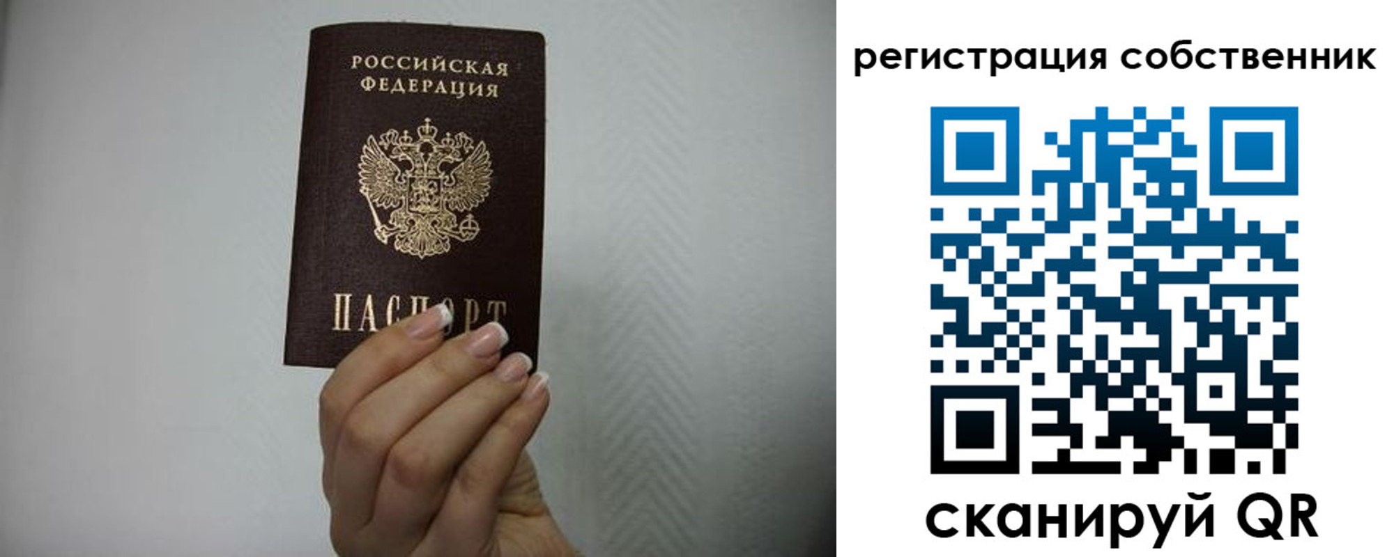 регистрация для дет. сада в Курской области